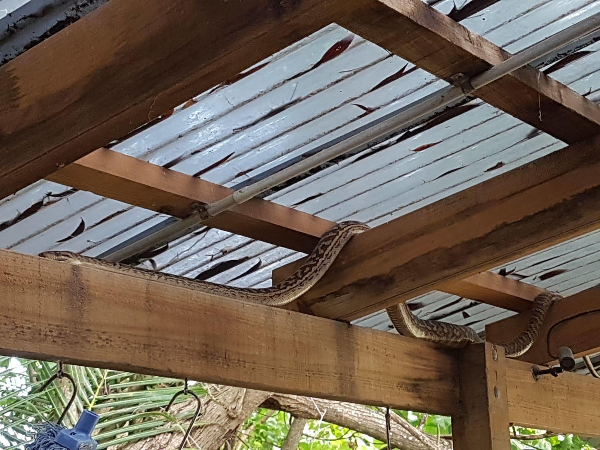 Coral Beach Lodge Port Douglas Dış mekan fotoğraf